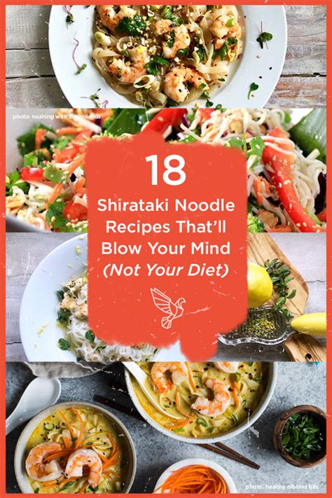 shirataki-noodle-recipes-18-delicious-low image