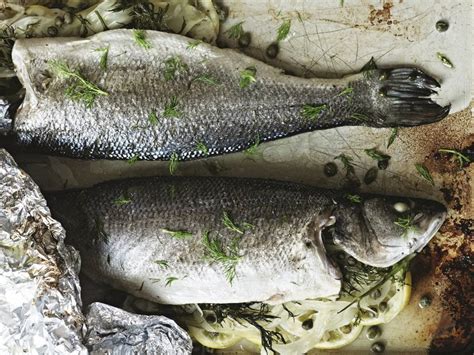 sea-bass-with-fennel-lemon-and-capers-gordon image