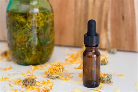 learn-to-make-calendula-oil-12-ways-to-use-it-the image
