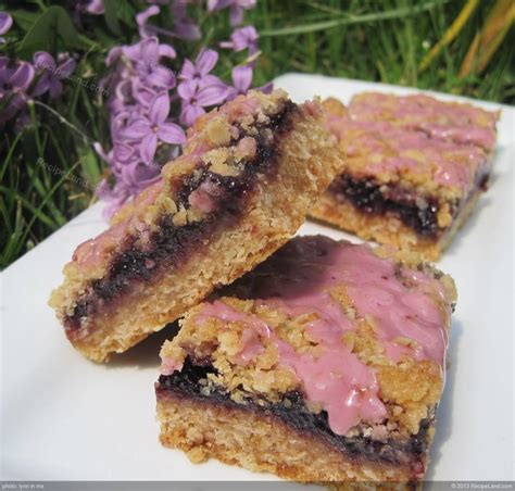 blackberry-crunch-bars-recipe-recipeland image