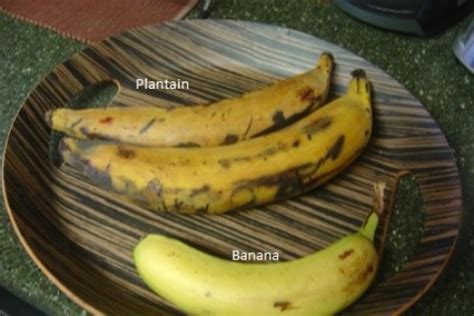 4-healthy-ways-to-cook-plantains-delishably image