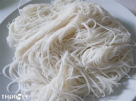 rad-na-sen-mhee-thai-style-noodles-in-gravy-thaiest image