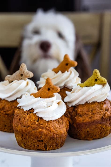 pumpkin-pupcakes-dog-cupcakes-crazy-for-crust image