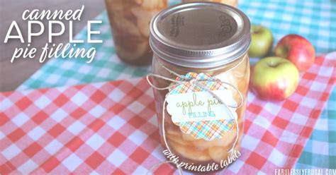 canned-apple-pie-filling-recipe-with-printable-labels image