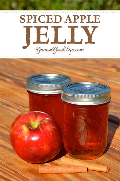 spiced-apple-jelly-recipe-no-added-pectin image