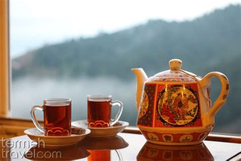 what-is-persian-tea-everything-you-need-to-know-about image