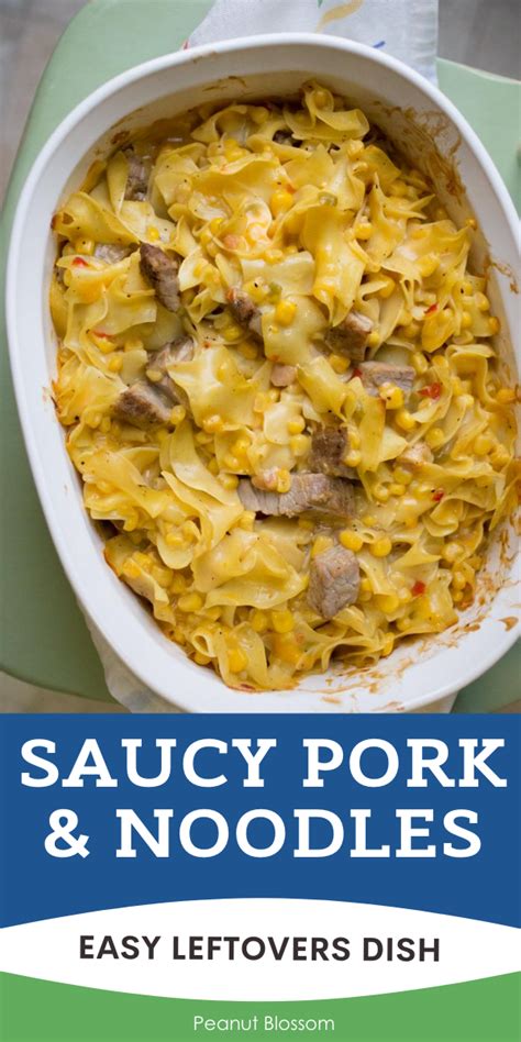 saucy-pork-and-noodle-bake-for-leftover-pork-peanut image
