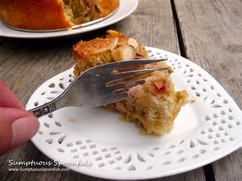 rhubarb-almond-cake-gluten-free-sumptuous image