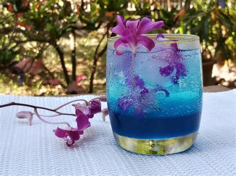 hawaiian-nonalcoholic-drink-recipes-lovetoknow image