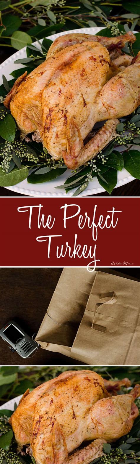 how-to-cook-a-turkey-brown-bag-method-ashlee image