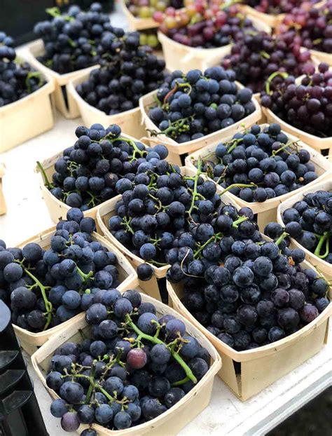 fresh-grape-sherbet-recipe-david-lebovitz image
