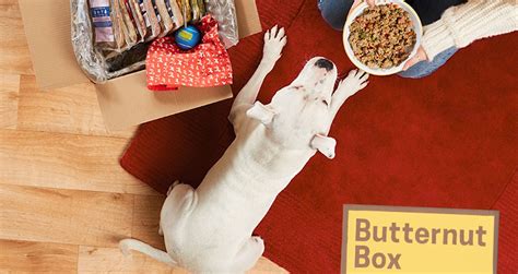 butternut-box-freshly-prepared-dog-food-delivery image