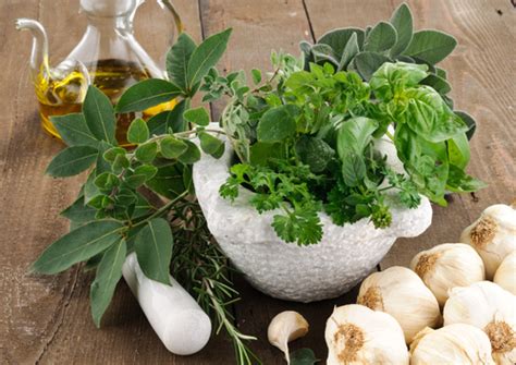 cooking-with-herbs-in-an-italian-kitchen-italian-food image
