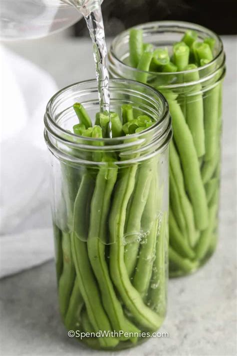 quick-pickled-green-beans-spend-with-pennies image