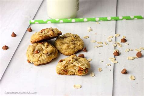 oatmeal-cookies-with-cinnamon-chips-food-and-diy image