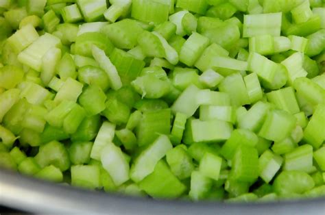 celery-and-radish-salad-edible-wow image