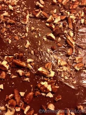 chocolate-lentil-brownies-nutmeg-disrupted image