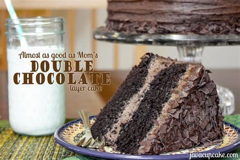 double-chocolate-layer-cake-food-farming-friends image