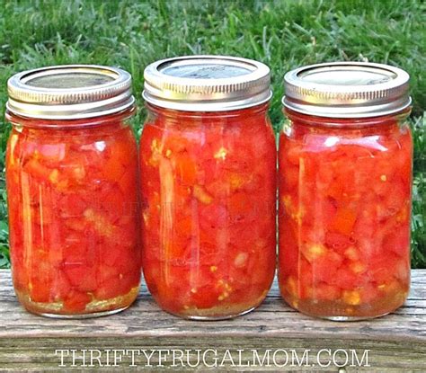 43-must-try-canning-recipes-thrifty-frugal-mom image