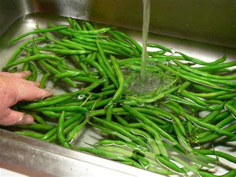 green-beans-and-potatoes-taste-of-southern image