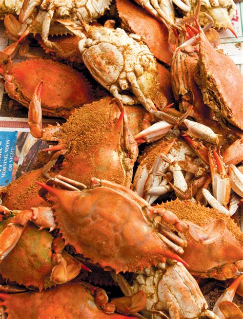 steamed-chesapeake-blue-crab-edible-delmarva image