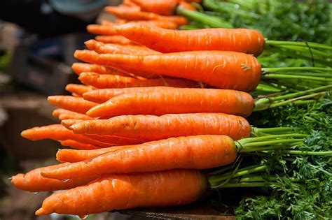 3-easy-ways-to-steam-carrots-the-spruce-eats image