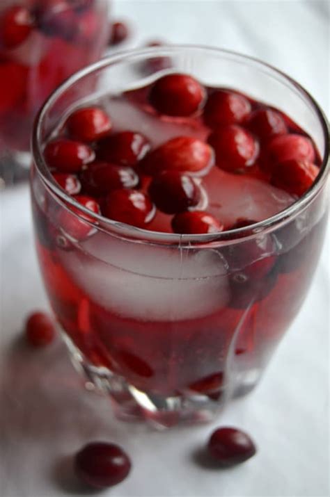 cranberry-raspberry-sparkling-punch-chasing-vibrance image