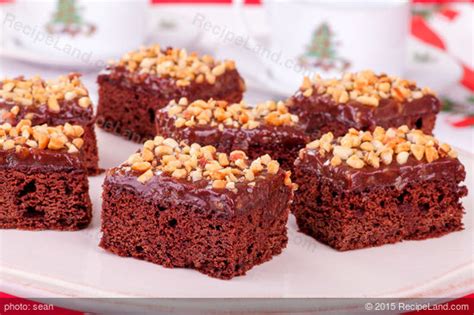 double-fudge-kahlua-brownies-recipe-recipelandcom image