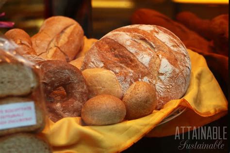 sourdough-starter-recipe-without-yeast-make-your-own image