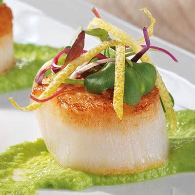 scallops-with-pea-pure-bcliquor image
