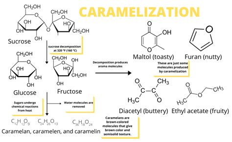 the-science-behind-caramelization-the-food-untold image