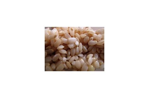 brown-rice-sprouts-sproutpeople image