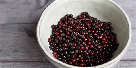 elderberry-recipes-great-british-chefs image