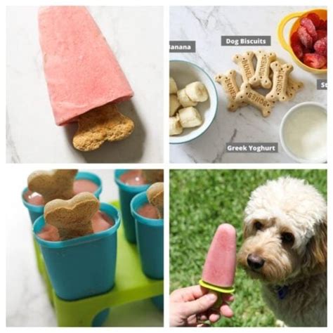 13-diy-dog-popsicle-recipes-for-the-summer-k9-of-mine image