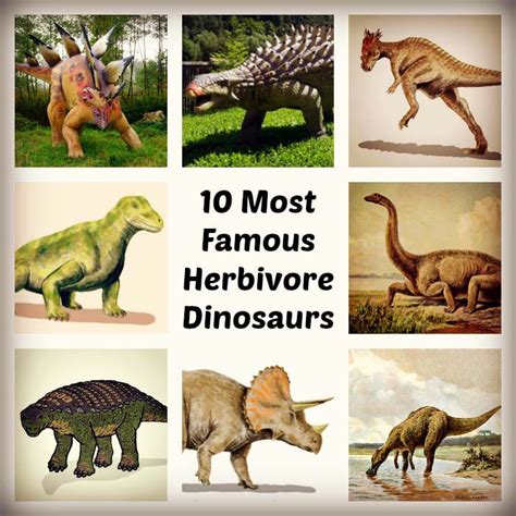 10-famous-list-of-plant-eating-dinosaurs-bio-explorer image