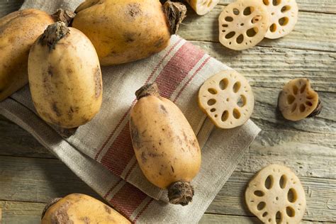what-is-lotus-root-and-how-is-it-used-the-spruce-eats image