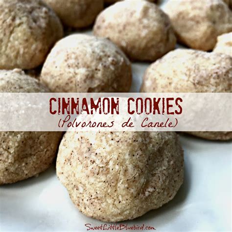 cinnamon-cookies-polvorones-de-canele-sweet image