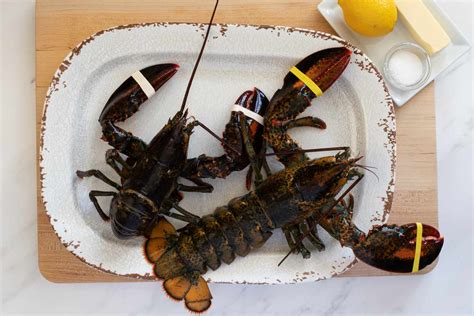 steamed-lobster-recipe-the-spruce-eats image