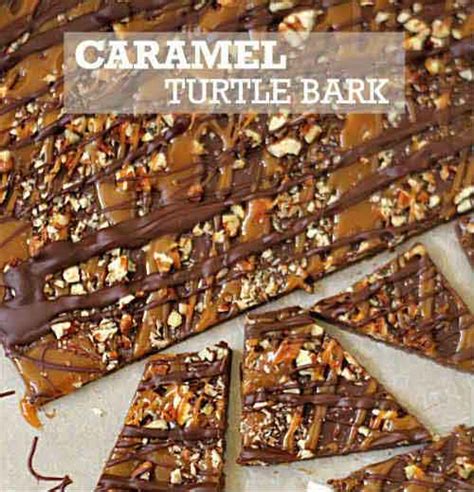 caramel-turtle-bark-lil-moo-creations image