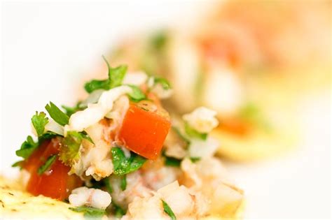 succulent-lobster-ceviche-baby-gizmo image