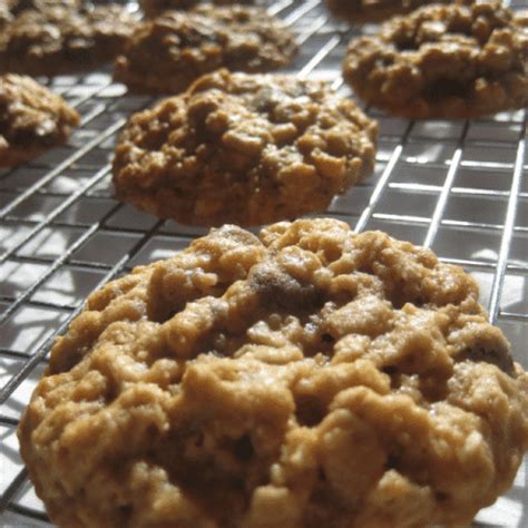 oatmeal-chocolate-chip-pecan-cookies-recipe-for image