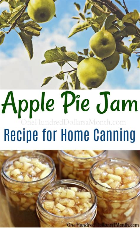 canning-101-apple-pie-jam-recipe-one-hundred image