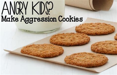 aggression-cookies-an-allergy-friendly-oatmeal-cookie image