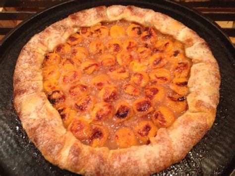 fresh-apricot-galette-the-baking-wizard image