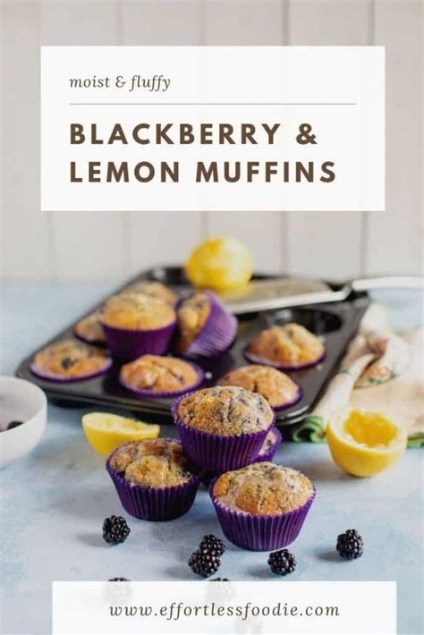 blackberry-lemon-muffins-effortless-foodie image