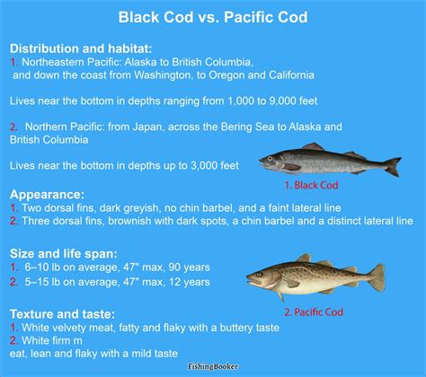 black-cod-vs-cod-a-quick-guide-updated-2023 image