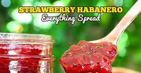 strawberry-habanero-everything-spread-the-slow image
