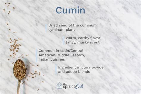 what-is-cumin-and-how-is-it-used-the-spruce-eats image