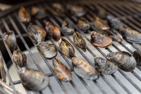 grilled-mussels-recipe-the-spruce-eats image