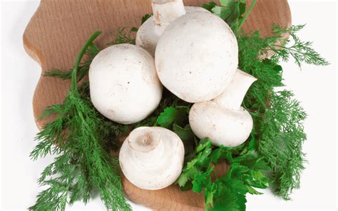 does-dill-go-with-mushrooms-foodies-family image